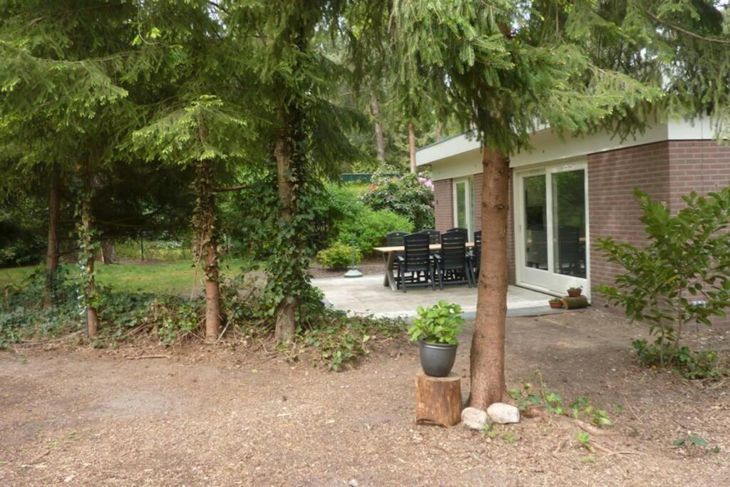 Drentse Bungalow In Natuur En Rust Spier Extérieur photo