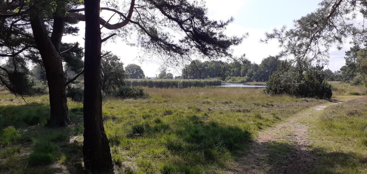 Drentse Bungalow In Natuur En Rust Spier Extérieur photo